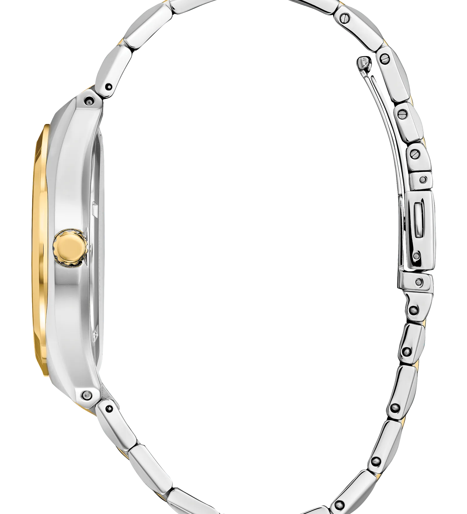 Citizen Eco Drive WR100 Corso Watch