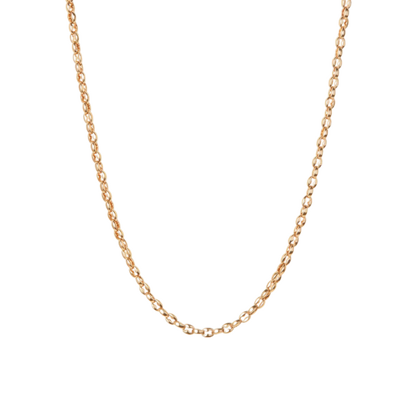 JENNY BIRD Dhani chain in High Polish Gold