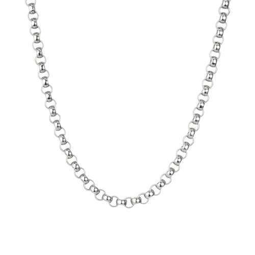 Jenny Bird Rodin Chain in Rhodium
