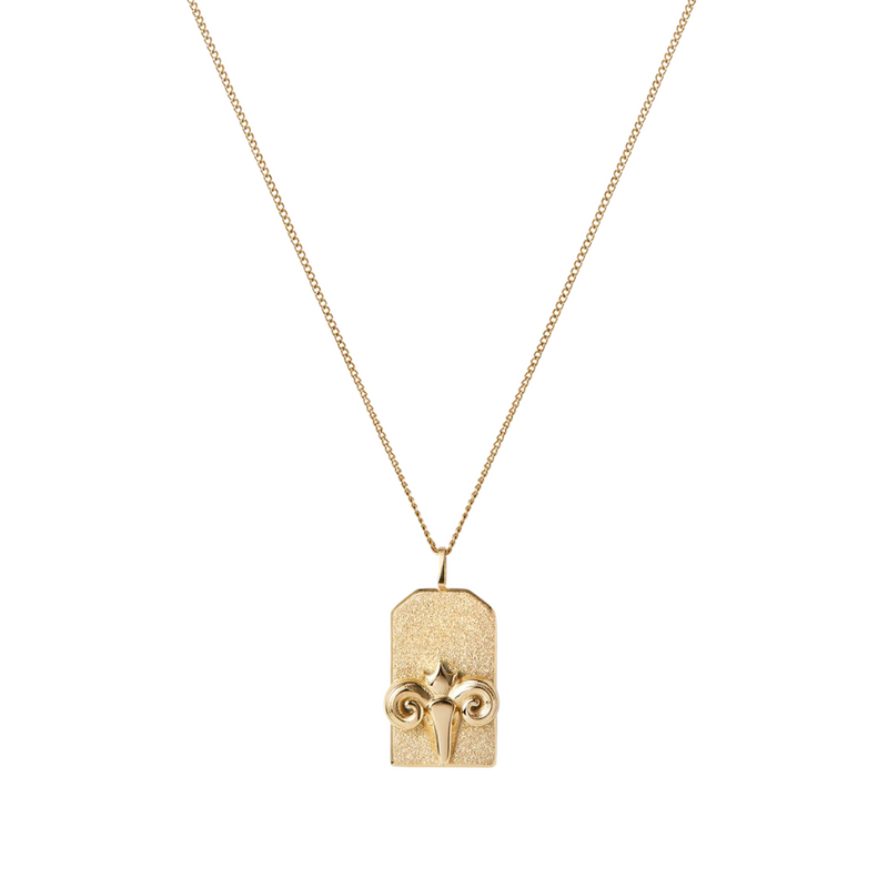 Jenny Bird Aries Zodiac Necklace