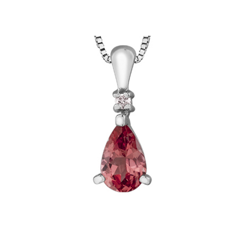 10K White Gold Diamond & Garnet Pendant on Chain