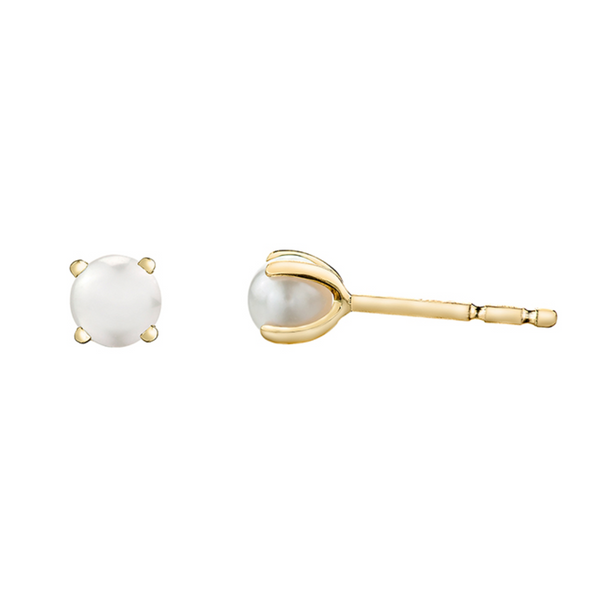 10K Yellow Gold Pearl Studs