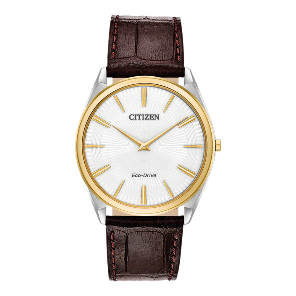 Citizen Eco Drive Stiletto Watch AR3074 03A