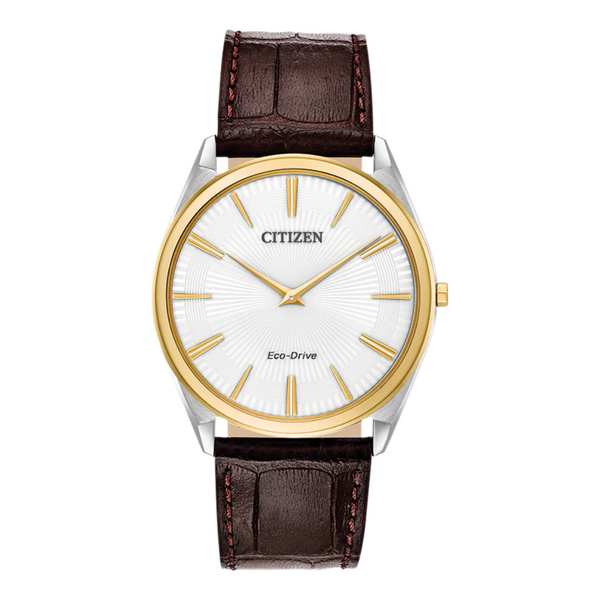 Citizen Eco Drive Watch with Leather Strap