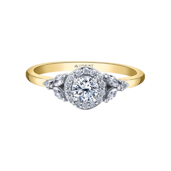 18K Yellow & White Gold .524ctw Canadian Diamond Multistone Ring with Underhead Accents