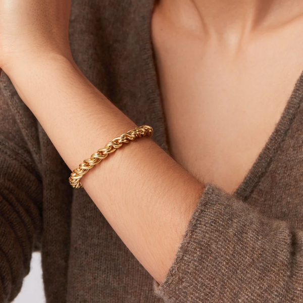 Jenny Bird Rizzo Bracelet in High Polish Gold