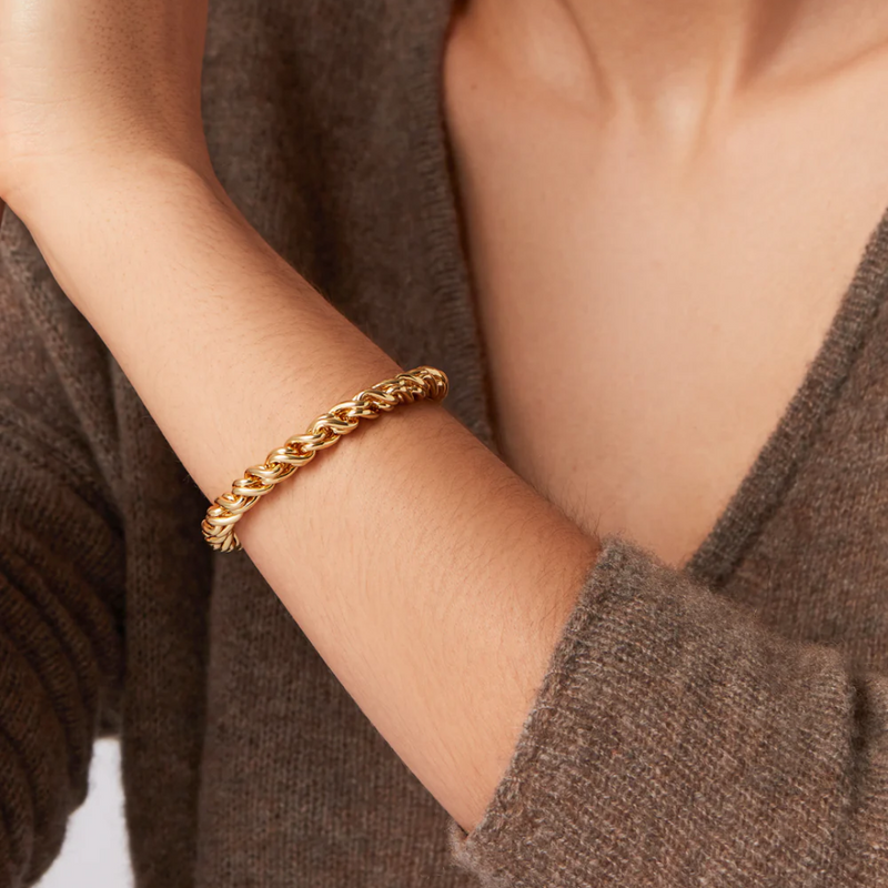 Jenny Bird Rizzo Bracelet in High Polish Gold