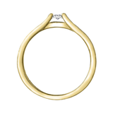 10K Yellow & White Gold .10ctw Diamond Illuminaire Ring