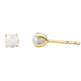 FJ 10K Yellow Gold Pearl Stud Earrings